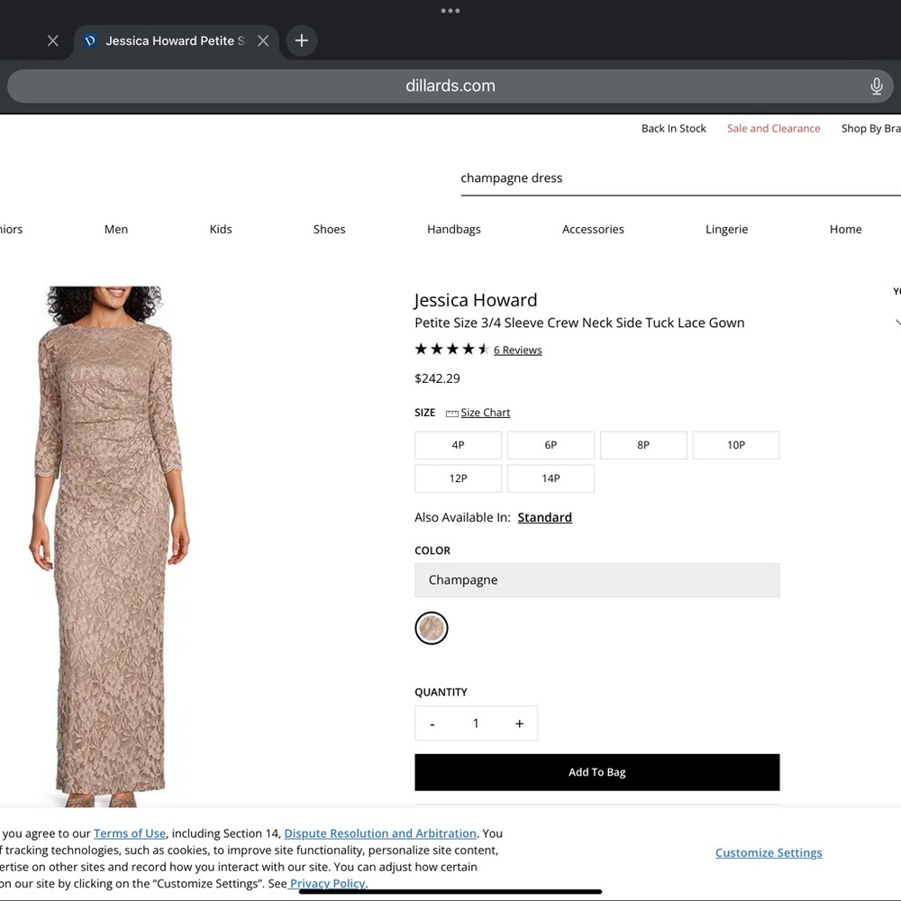 Jessica Howard Long Sleeve Lace Gown in Champagne